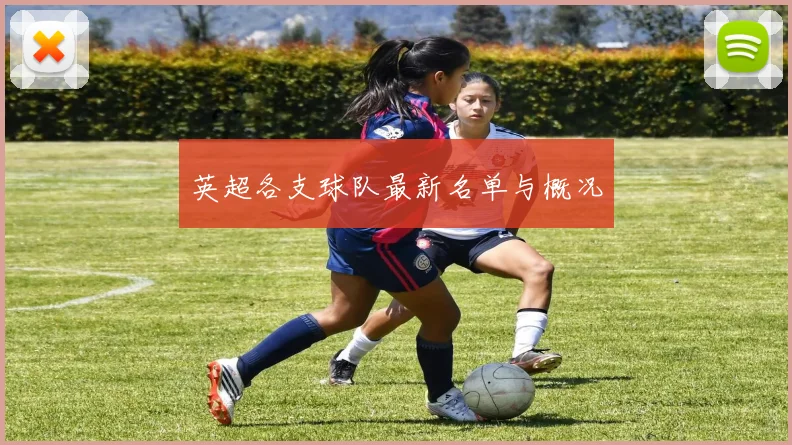 英超各支球队最新名单与概况