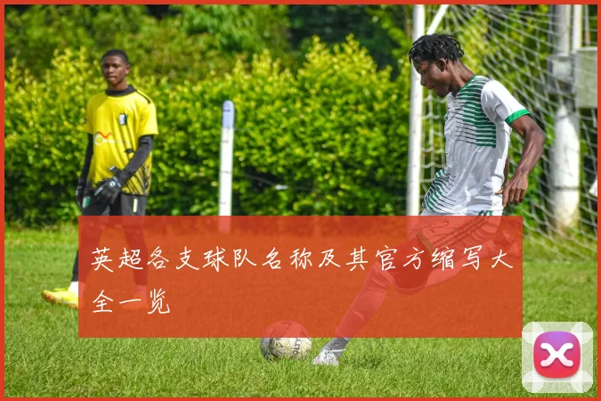 英超各支球队名称及其官方缩写大全一览