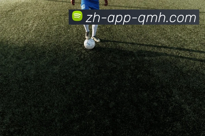 App Interface Preview