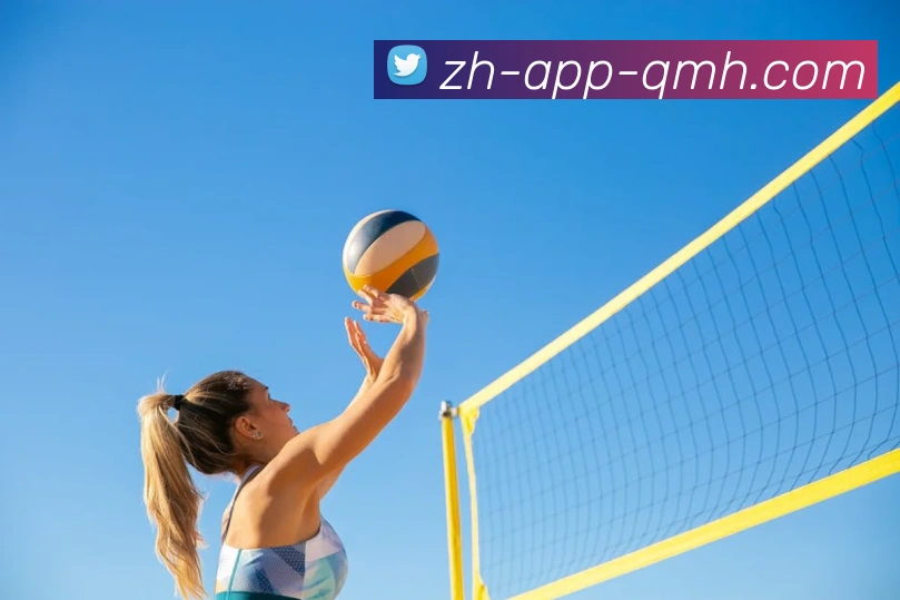 球盟会APP 封面图